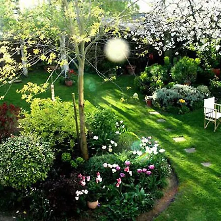 Bed & Breakfast D'hotes El Vigot Plaza 2*