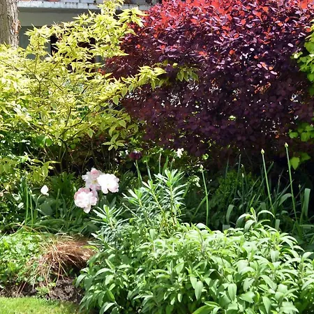 Couette-café D'hotes El Vigot Plaza 2*