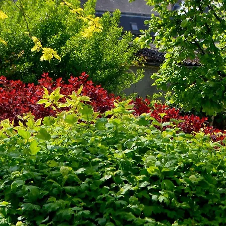 Couette-café D'hotes El Vigot Plaza 2*