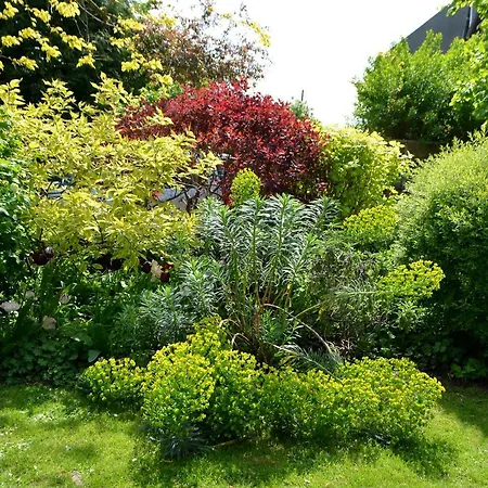 D'hotes El Vigot Plaza