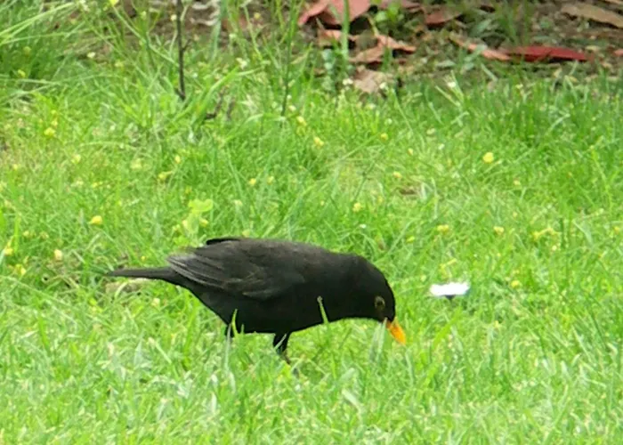 D'hotes El Vigot Plaza Кан